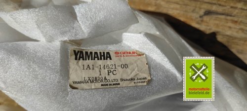 IMG_20230916_133746